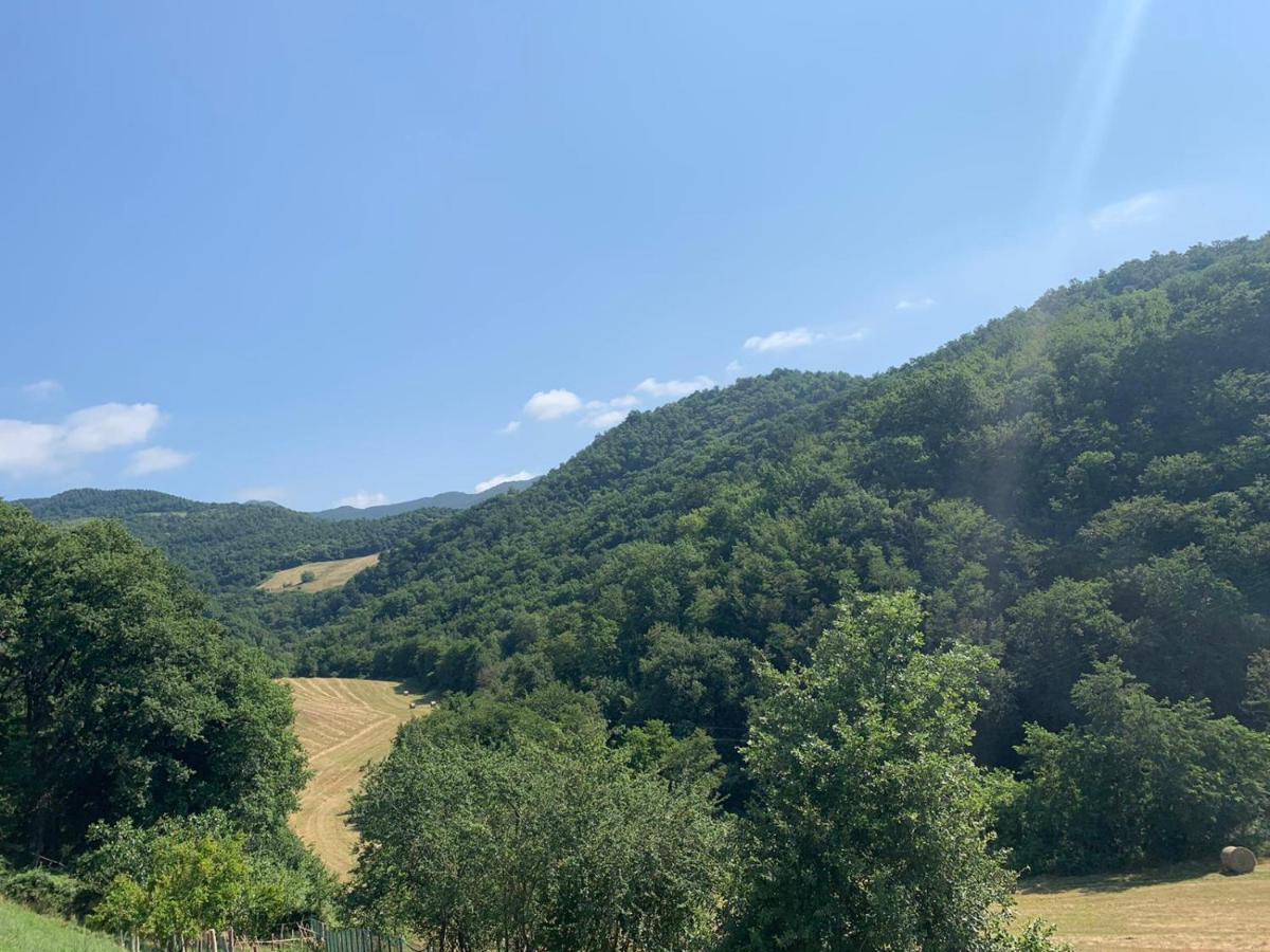 B&B Villa Bianca Sant'Agata  Exterior photo