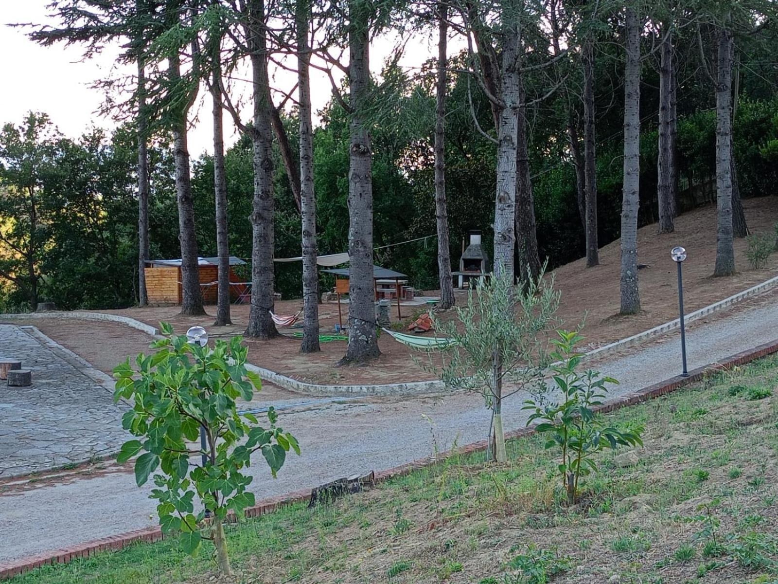 B&B Villa Bianca Sant'Agata  Exterior photo